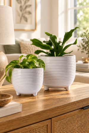Two white ribbed ceramic planters with raised feet displaying green indoor plants on a warm wooden living room console table.