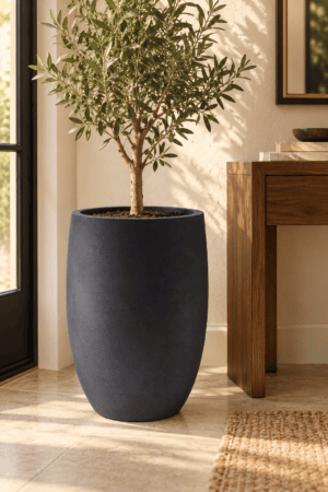Large charcoal floor planter holding an olive tree beside a warm wood console in a sunlit modern neutral home entryway.